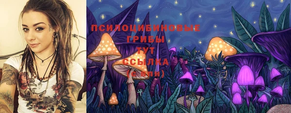 ГАЛЛЮЦИНОГЕННЫЕ ГРИБЫ Пестово